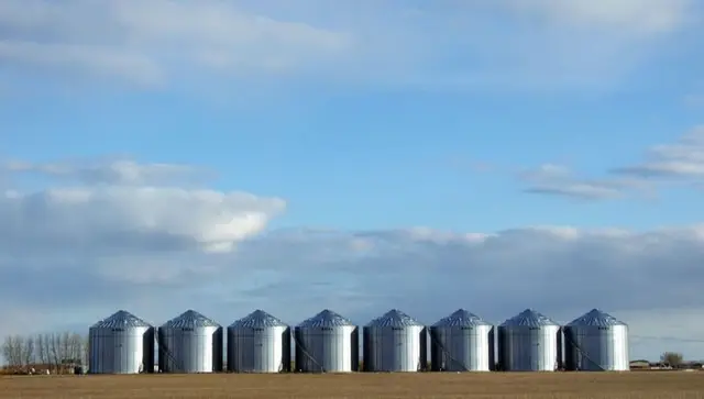 Row of grain bins on the prairie